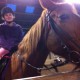 Avatar van Miekie_anne