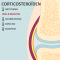 Thumbnail voor 'Hoe werken corticosteroïden?'