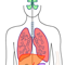 Wat is Cystic Fibrosis? thumbnail