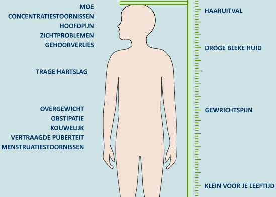 schildklier werkt te traag