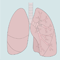 Thumbnail voor 'De longen en ademhaling'