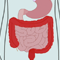 Thumbnail voor 'Chronische ontstekingen in het maag-darmkanaal'